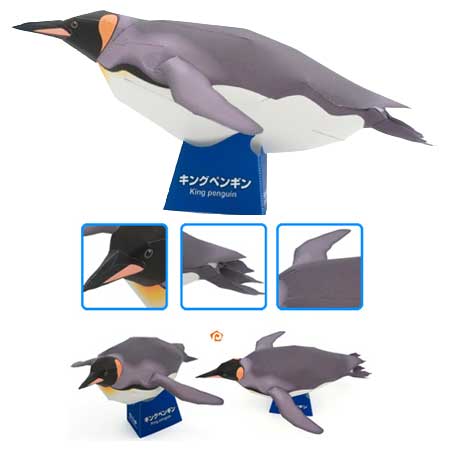 Pingüino Rey