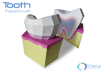 Tooth Papercraft